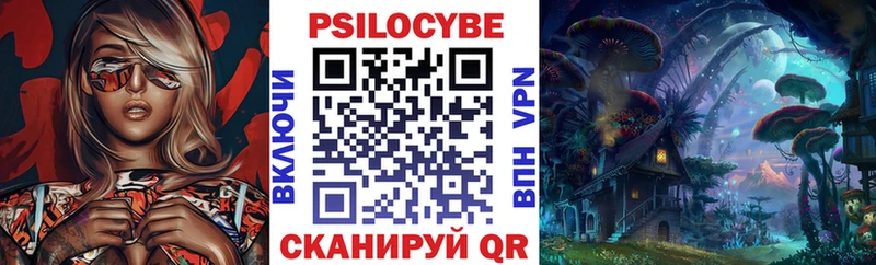 Купить  Саяногорск  Галлюциногенные грибы GOLDEN TEACHER 